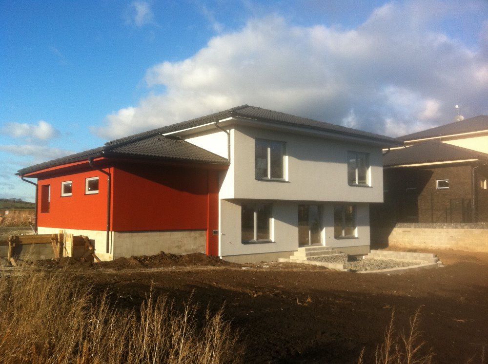 Road crossing the forest