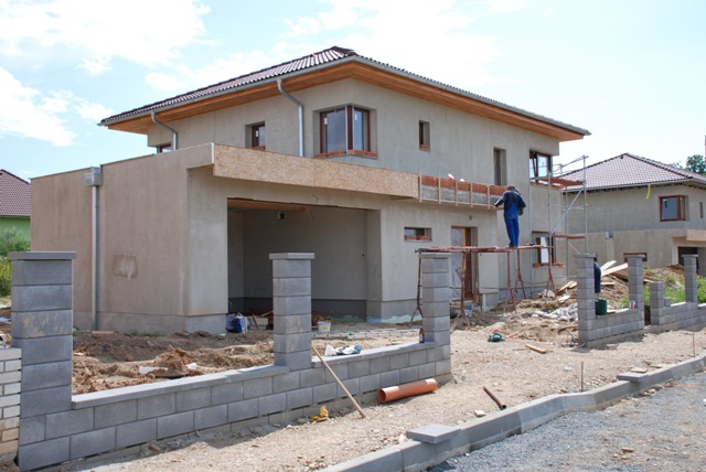 Road crossing the forest