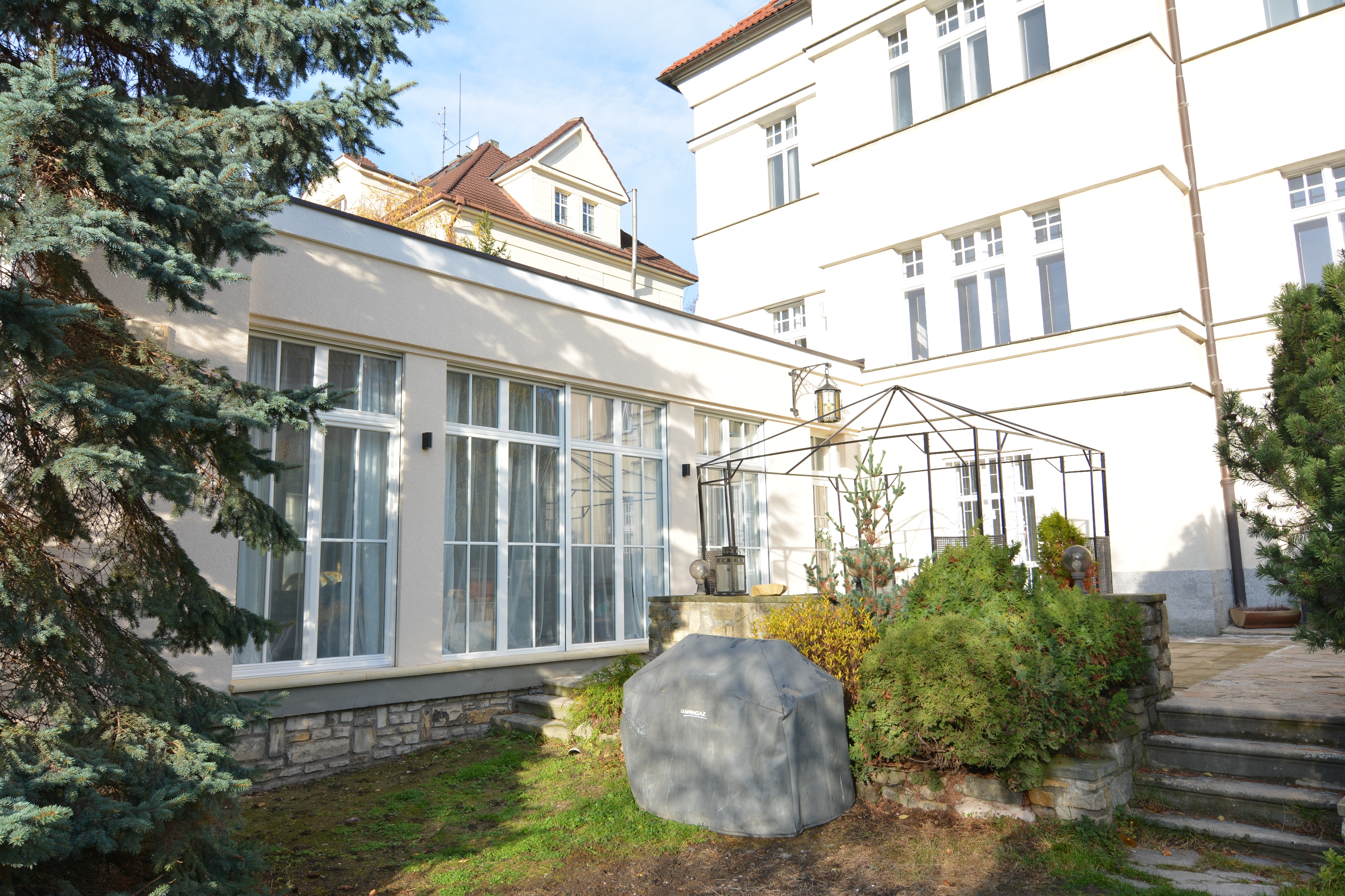 Road crossing the forest